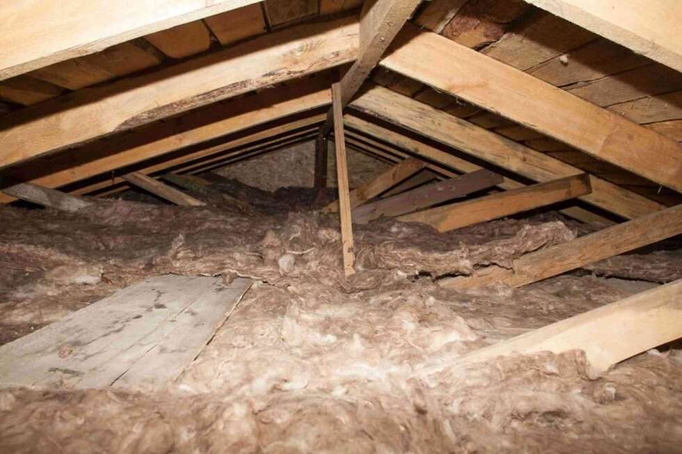 Rafters Inspection Pre Purchase Building And Pest Inspections | Local Brisbane Specialist