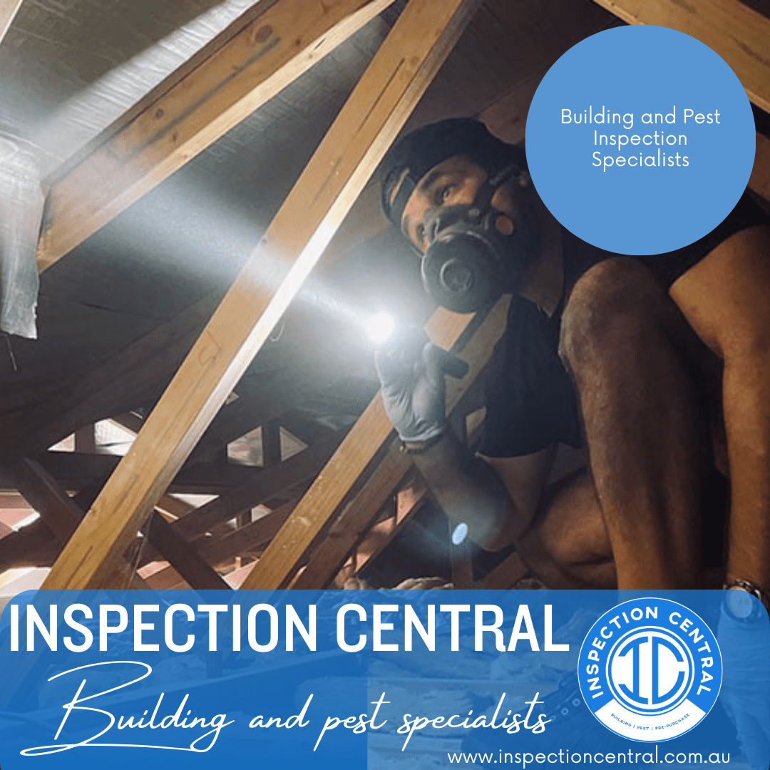 Building And Pest Inspections Brisbane | Inspection Central